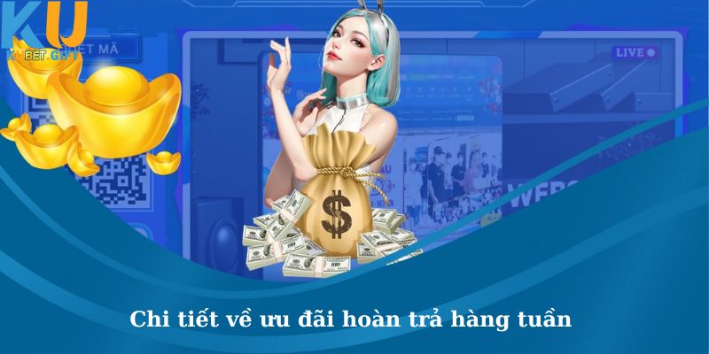 Chi tiết thông tin của chương trình hoàn trả theo tuần của Kubet