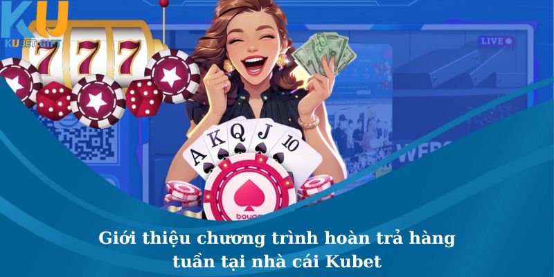 Tổng quan giới thiệu về ưu đãi hoàn trả mỗi tuần